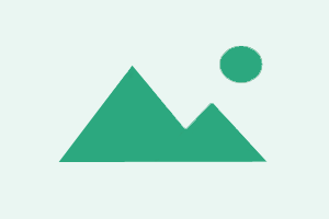 OnePlus Details Info Check